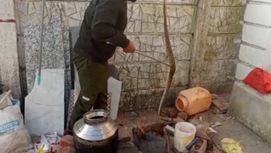 Russell Viper Video : किसी कोने से आ रही कुकर की सिटी जैसी आवाज तो हो जाएं सावधान...