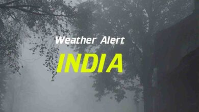IMD Alert : पंजाब और हिमाचल में छाएगा घना कोहरा, इन राज्यों में होगी भारी बारिश