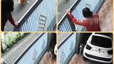 Viral Video : एक मुसीबत से राहत मिली भी नहीं कि उससे बड़ी आ गई सामने