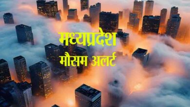 Fog Alert MP : एमपी के 3 जिलों में मध्यम कोहरा छाने की चेतावनी, तापमान में बढ़ोतरी
