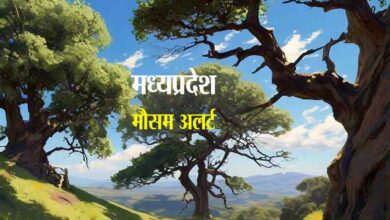 Weather Alert MP : पचमढ़ी में गिरने के बाद फिर बढ़ गया तापमान