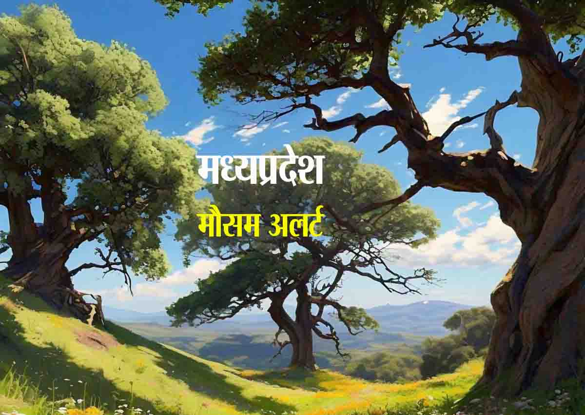 Weather Alert MP : पचमढ़ी में गिरने के बाद फिर बढ़ गया तापमान