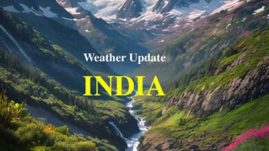 IMD Alert : उत्तर भारत में गिरा पारा, चार दिनों में और आएगी इतनी गिरावट