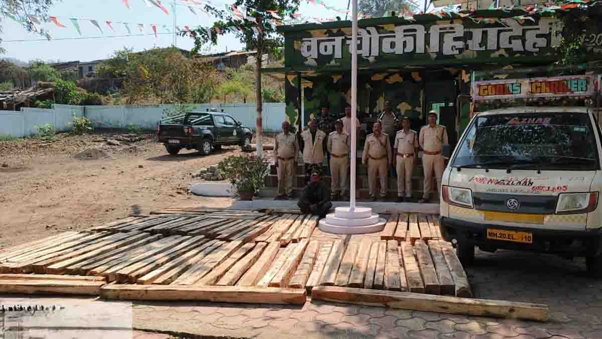 Betul News Today: एमपी से सागौन चुरा कर ले जा रहे थे महाराष्ट्र के आरोपी, वन अमले ने एक को दबोचा