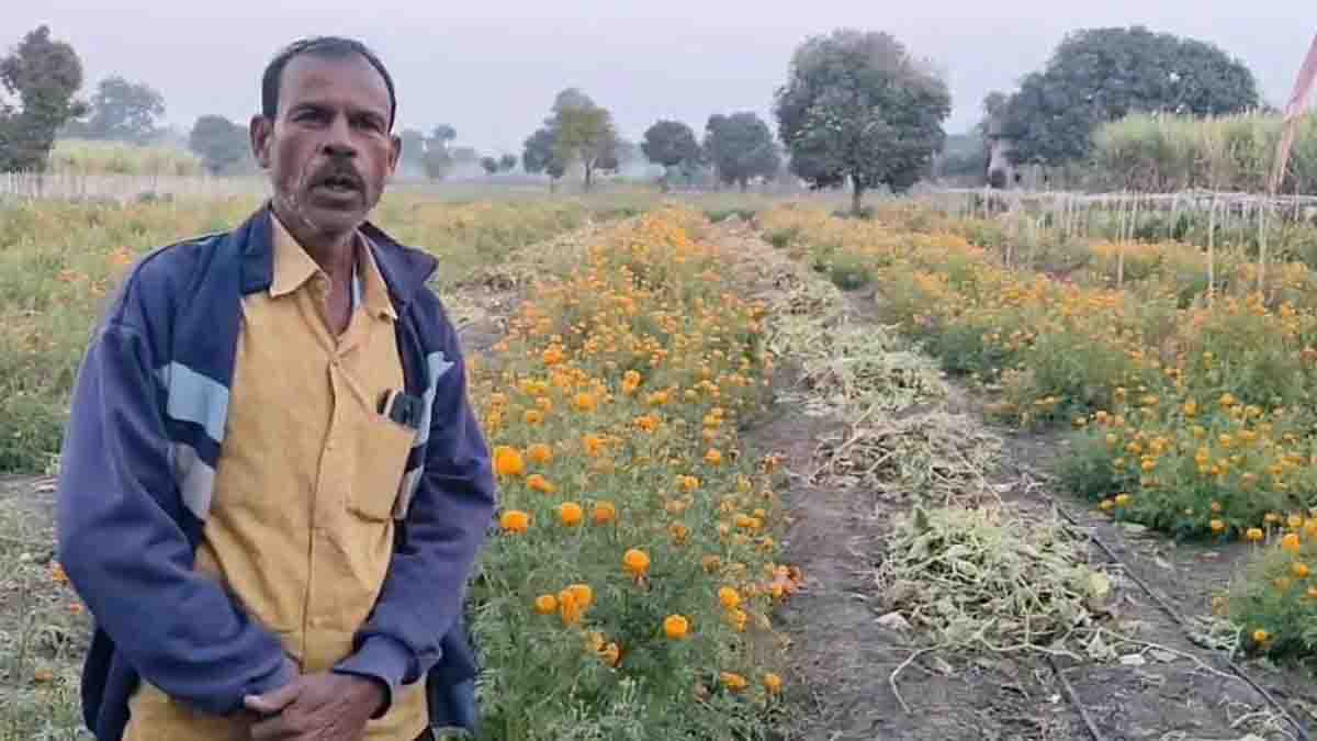 Gende ki kheti ke labh: किसान ने शुरू की गेंदे और लौकी की खेती और कमा लिए एक लाख रुपये से ज्यादा