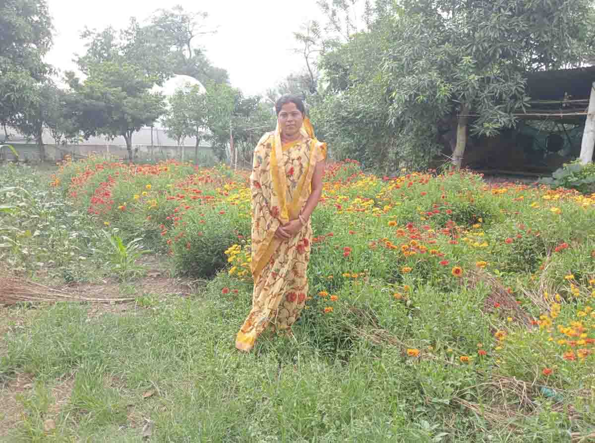 Pali House Scheme: सब्जी और फूलों की खेती से हो रही लाखों की आमदनी