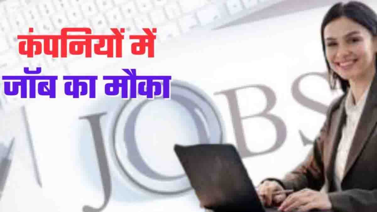 Betul Rojgar Mela: बैतूल में रोजगार मेला 13 अगस्त को: 9 कंपनियां करेंगी सैकड़ों पदों पर भर्ती
