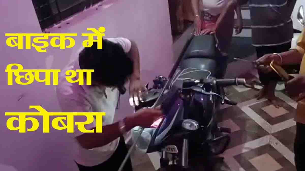 Cobra Rescue from Bike: बाइक के मॉस्क में छिपा बैठा था कोबरा, शुक्र था सुन ली उसकी फुफकार, देखें वीडियो