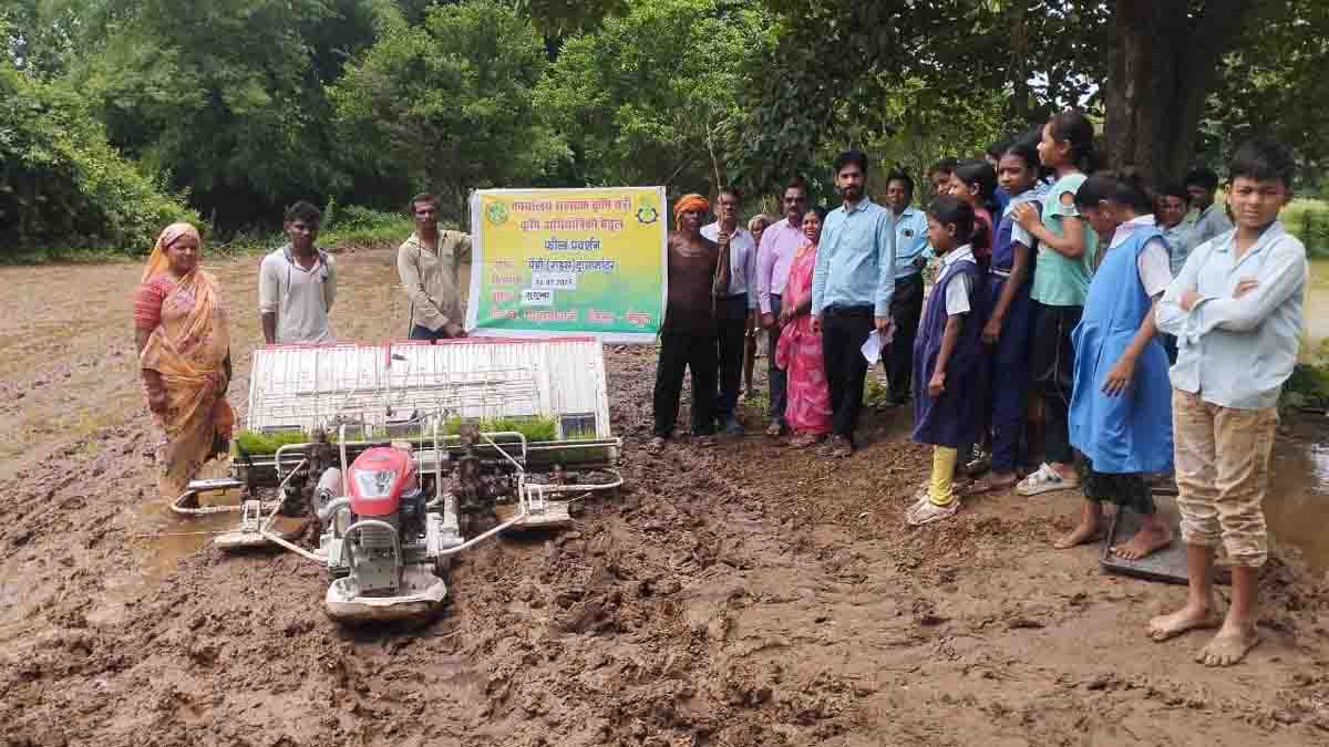Rice Transplanter Subsidy: अब अनुदान पर मिल रही 6 कतार वाली राइस ट्रांसप्लांटर मशीन, जानिए फायदे