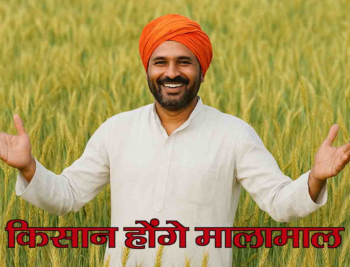 Wheat and Barley New Varieties: किसानों को गेहूं-जौ की नई किस्मों की सौगात, कम लागत में बंपर उत्पादन, होंगे मालामाल