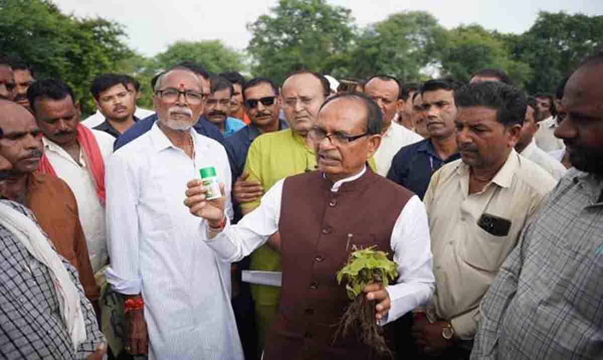 Fake Pesticide Case MP: नकली कीटनाशक कांड... कृषि मंत्री शिवराज सिंह चौहान के आदेश पर एमपी में ताबड़तोड़ कार्रवाई