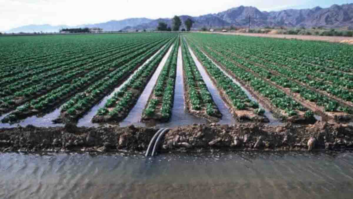 MP Irrigation Expansion: एमपी में सिंचाई क्षेत्र का विस्तार: 3 साल में 100 लाख हेक्टेयर लक्ष्य, 38 परियोजनाएं तैयार