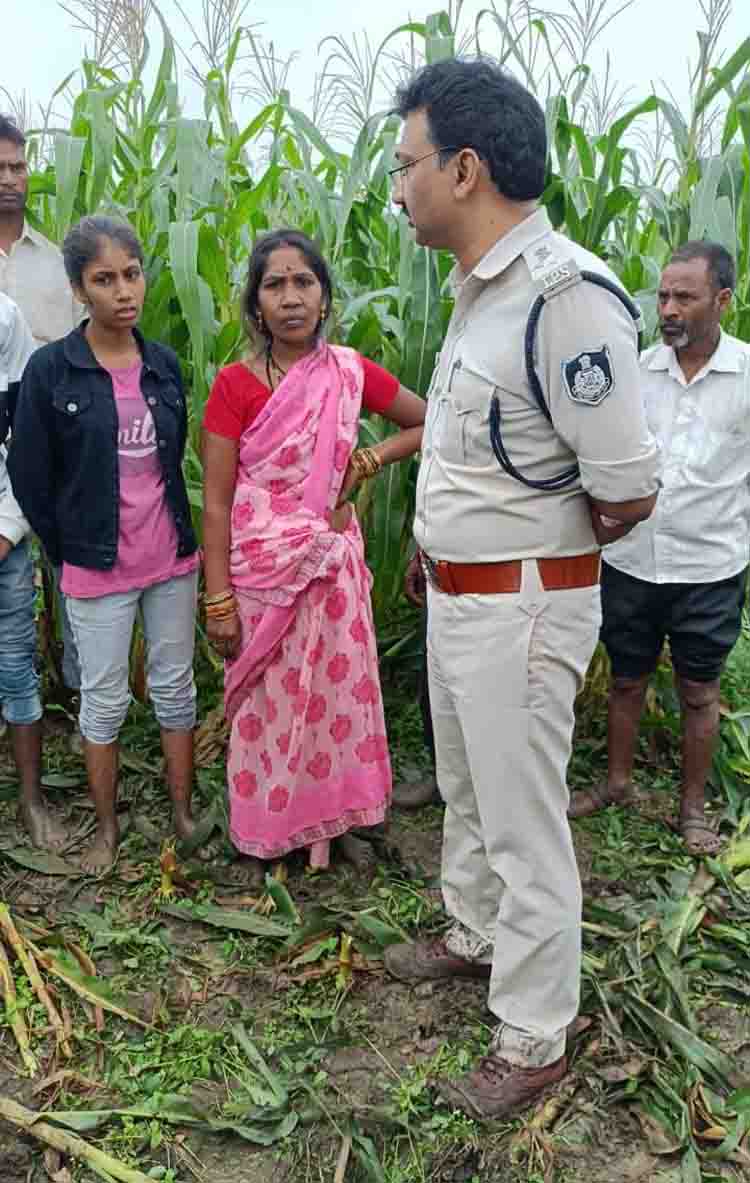 Betul murder news: खेत में किसान की धारदार हथियार से हत्या, एसपी ने दिए आरोपी की जल्द गिरफ्तारी के निर्देश