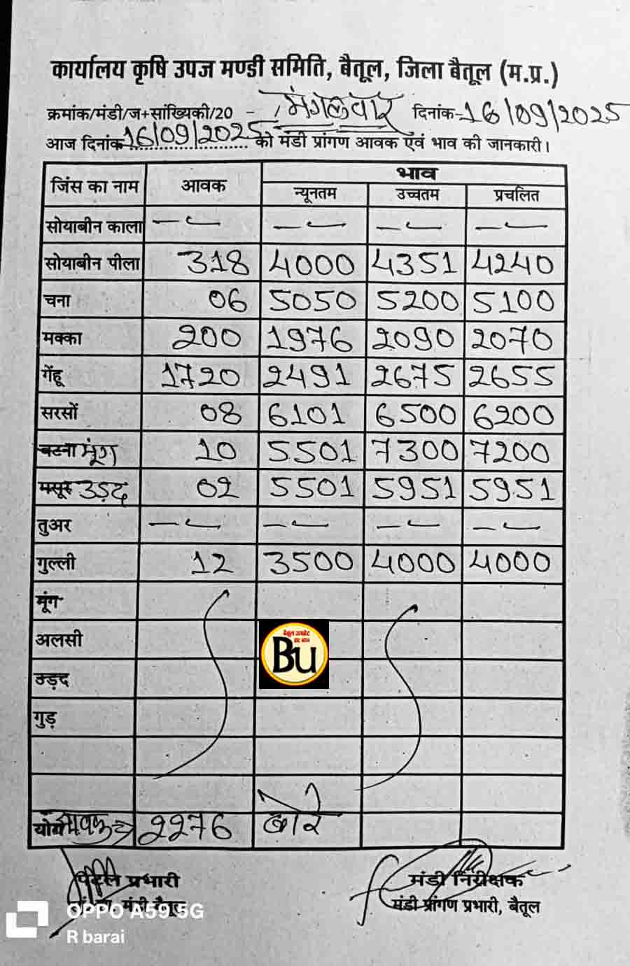 Betul Mandi Bhav: बैतूल मंडी में 16 सितम्बर को सोयाबीन बढ़ा, गेहूं-चना स्थिर, मक्का गिरा