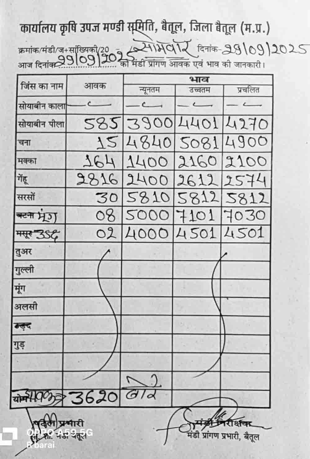 Betul Mandi Bhav: बैतूल मंडी भाव 29 सितंबर 2025; सोयाबीन बढ़ा, चना और सरसों में गिरावट