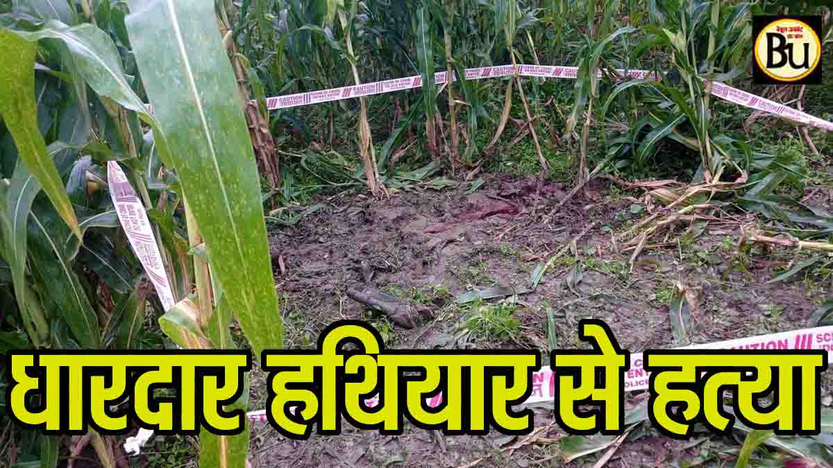 Betul murder news: खेत में किसान की धारदार हथियार से हत्या, एसपी ने दिए आरोपी की जल्द गिरफ्तारी के निर्देश