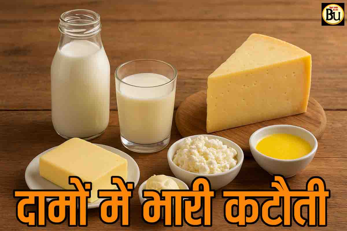 Milk Price Cut: दूध और डेयरी प्रोडक्ट्स के दामों में भारी कटौती, देखें अब किस रेट में मिलेंगे