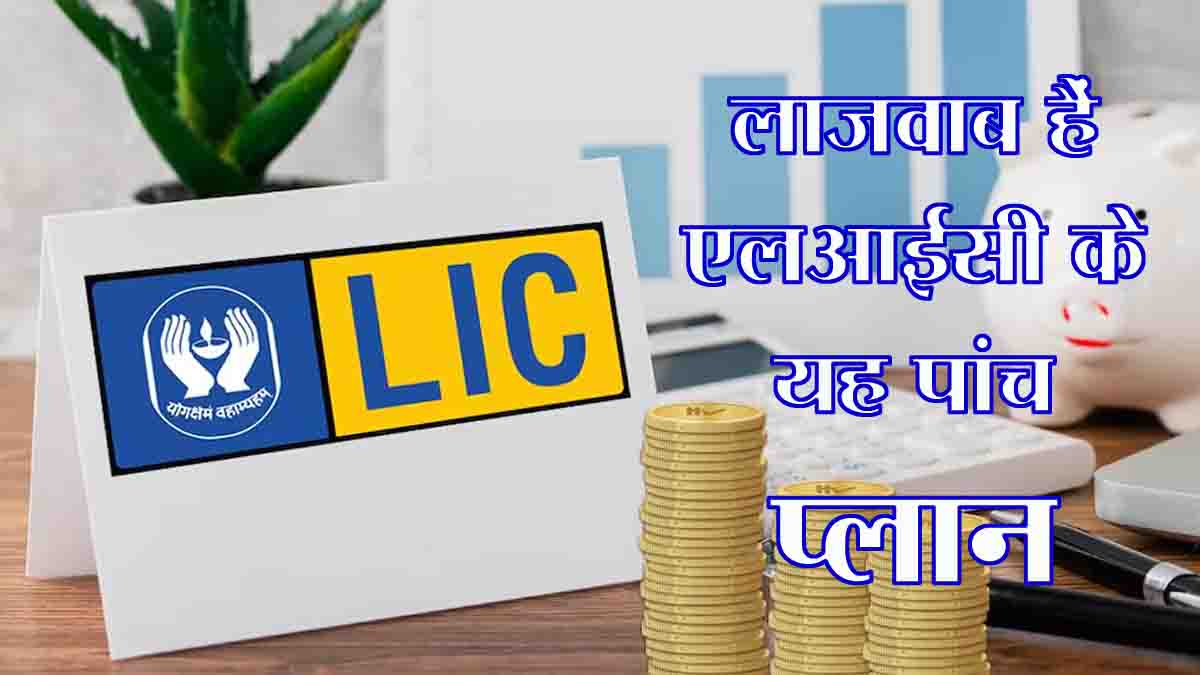 LIC Best Plans 2025: एलआईसी के यह हैं बेस्ट 5 प्लान, घर बुला-बुला पॉलिसी लेते हैं लोग