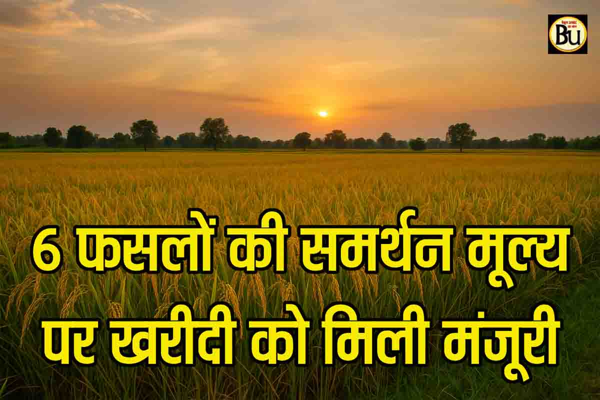 MSP crop procurement 2025: उड़द-मूंग समेत कई फसलों की एमएसपी पर होगी खरीदी, किसानों को बड़ी राहत