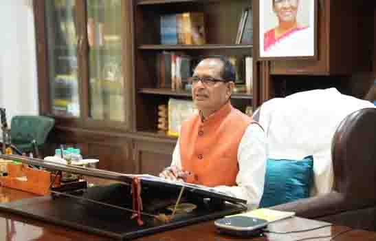 MSP crop procurement 2025: उड़द-मूंग समेत कई फसलों की एमएसपी पर होगी खरीदी, किसानों को बड़ी राहत