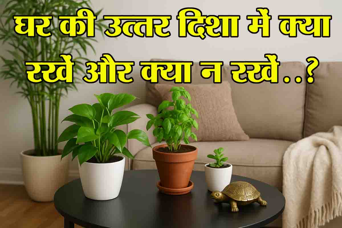 Uttar Disha Vastu Tips: कुबेर देव की कृपा पाने के आसान उपाय, घर में बढ़ेगी समृद्धि