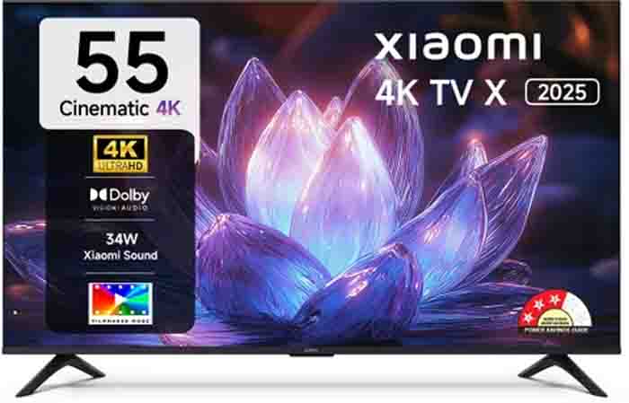 Smart TV Festive Sale Deals: फ्लिपकार्ट-अमेजन फेस्टिव सेल में बड़े सस्ते मिल रहे 55 इंच 4K Smart TV, जानें बेस्ट डील्स