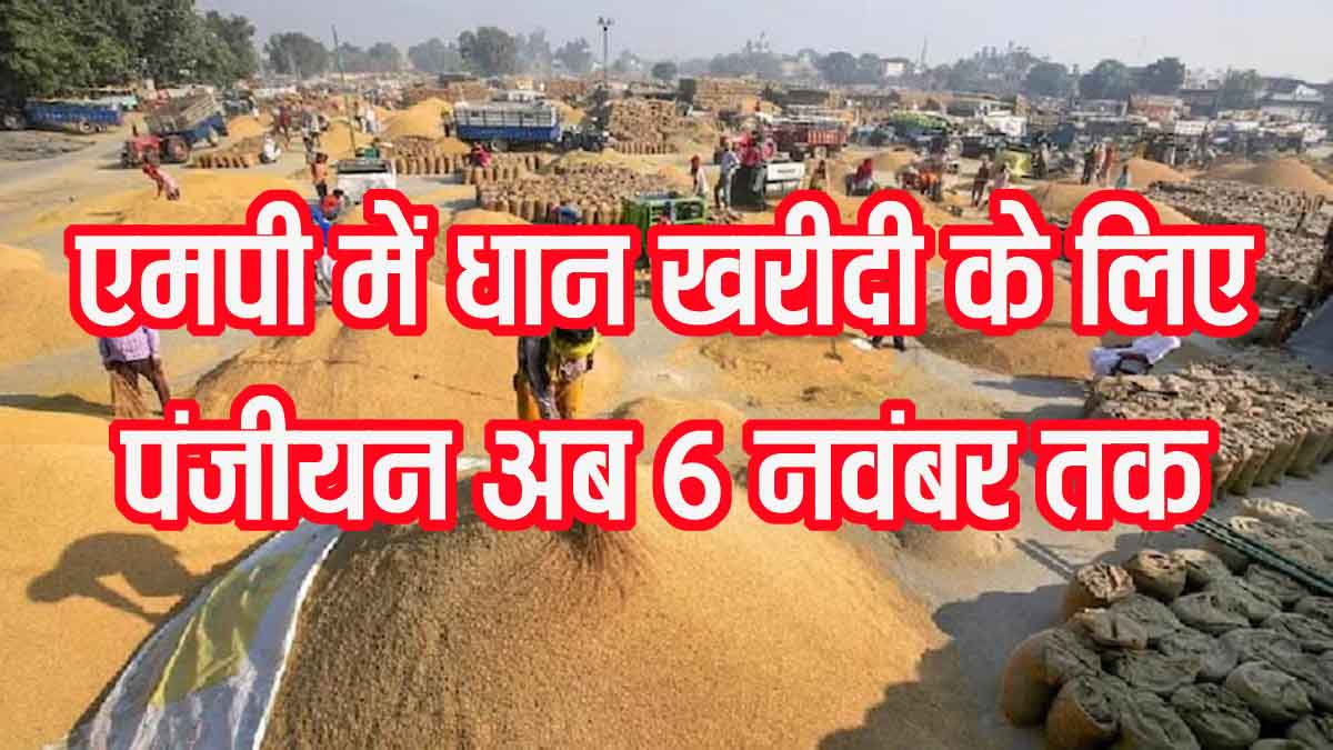 Paddy Registration MP: किसान भाइयों के लिए अच्छी खबर, एमपी में अब धान उपार्जन के लिए रजिस्ट्रेशन 6 नवंबर तक