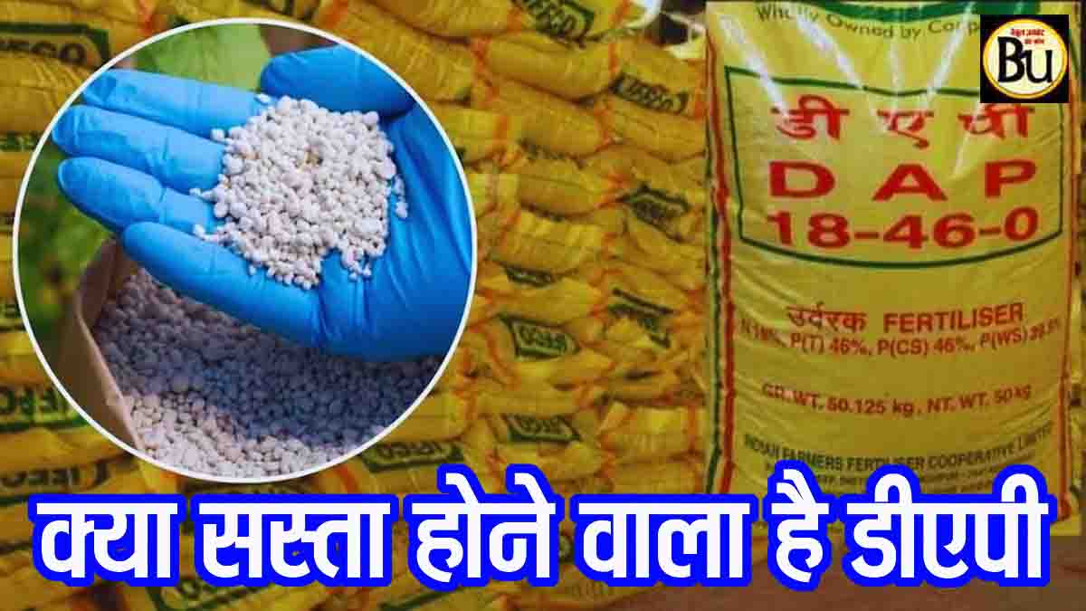 IFFCO DAP Fertilizer Supply: अब नहीं होगी डीएपी की किल्लत, सस्ता भी हो सकता है, इफको उठा रहा यह बड़े कदम