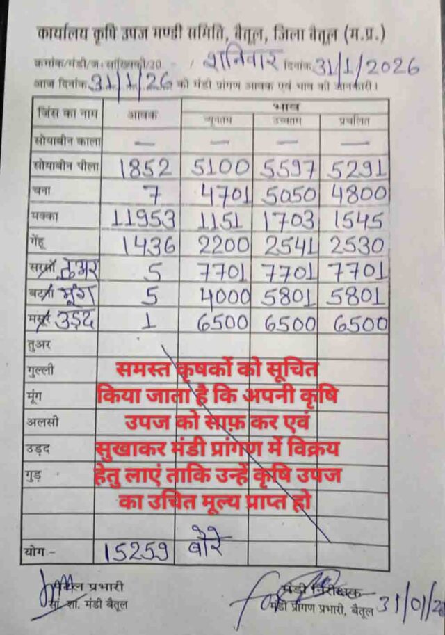 Betul Mandi Bhav: बैतूल मंडी में 31 जनवरी को 15259 बोरे आवक, जानें सोयाबीन, मक्का और गेहूं के ताजा भाव