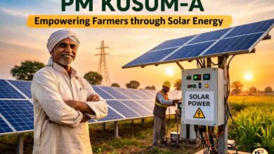 PM Kusum Yojana: पीएम कुसुम-ए से बंजर जमीन बन रही आमदनी का साधन, बिजली से भी कमाई कर रहे किसान