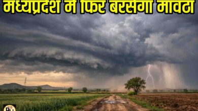 MP Weather Update: होली से पहले बदलेगा मौसम का मिजाज, एमपी में बरसेगा मावठा, आंधी-तूफान भी मचाएंगे तबाही