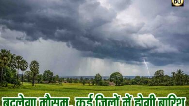 MP Weather Update: मध्य प्रदेश में फिर बदलेगा मौसम, 18-19 फरवरी को कई जिलों में बारिश का येलो अलर्ट