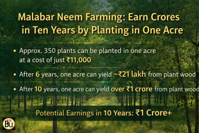 एक एकड़ में करोड़ों की खेती! Malabar Neem Farming से 10 साल में बन सकती है 1 करोड़ की संपत्ति
