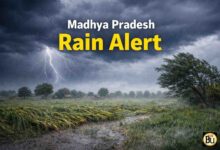 Madhya Pradesh Rain Alert: प्रदेश में अगले चार दिन बारिश के आसार, कई जिलों में वर्षा और आंधी से फसलें बर्बाद