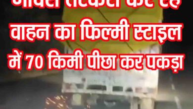 Cow Smuggling in Betul: गोवंश तस्करी कर रहे वाहन का 70 किमी तक फिल्मी स्टाइल में पीछा, बैतूल में पकड़ा