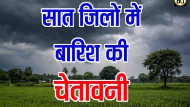 Madhya Pradesh Weather Update: प्रदेश के सात जिलों में बारिश के आसार, कई शहरों में 4 डिग्री तक बढ़ेगा पारा, बदलते मौसम ने बढ़ाई चिंता