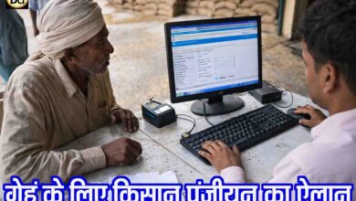 MP Wheat MSP Registration 2026: एमपी में 7 फरवरी से शुरू होगा समर्थन मूल्य पर गेहूं का पंजीयन, किसानों के लिए आसान की गई प्रक्रिया