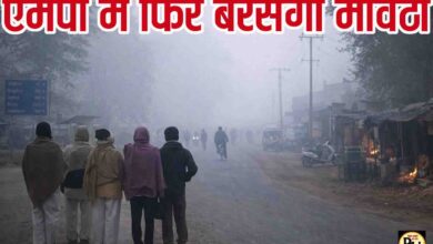 Madhya Pradesh Weather Alert: मध्य प्रदेश में फिर होगी मावठे की बारिश, IMD ने जारी किया अलर्ट, 6 जिलों में शीतलहर की भी चेतावनी