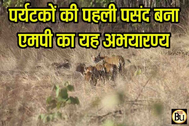 Khivni Wildlife Sanctuary MP: पर्यटकों की पहली पसंद बन रहा एमपी का खिवनी अभयारण्य, इको-टूरिज्म का नया हॉटस्पॉट