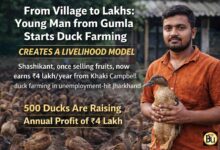 Duck Farming Business: बेरोजगारी दूर करने गांव में ही शुरू किया यह काम, बत्तख पालन से अब कमा रहे लाखों रूपये
