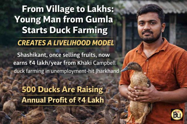 Duck Farming Business: बेरोजगारी दूर करने गांव में ही शुरू किया यह काम, बत्तख पालन से अब कमा रहे लाखों रूपये