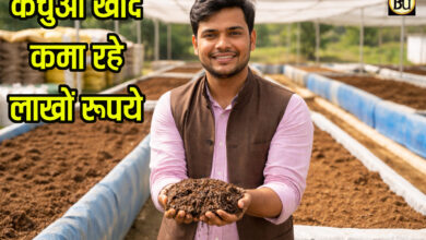 Vermicompost Business: ऑस्ट्रेलियन केंचुओं से बदली किस्मत, फिरोजाबाद के अंकित घर बैठे कर रहे लाखों में कमाई