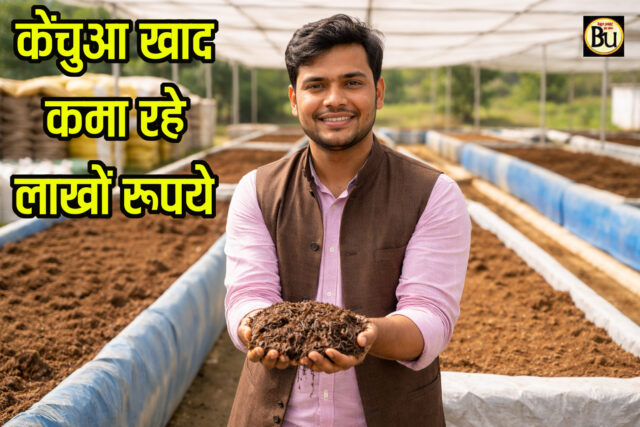 Vermicompost Business: ऑस्ट्रेलियन केंचुओं से बदली किस्मत, फिरोजाबाद के अंकित घर बैठे कर रहे लाखों में कमाई