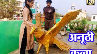 Garud Metal Sculpture Betul: बैतूल में लोहे के 2000 टुकड़ों से बनी गरुड़ प्रतिमा, गुरु-शिष्या की कला ने सबको किया अचंभित