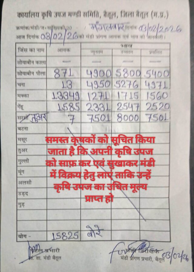 Betul Mandi Bhav: बैतूल मंडी में आवक घटी, चना के भाव में हल्की मजबूती, गेहूं 2547 रुपये तक बिका
