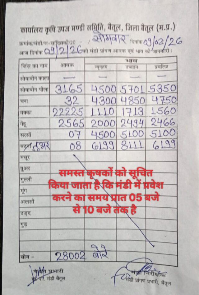 Betul mandi bhav 9 February 2026: बैतूल मंडी में मक्का की रिकॉर्ड आवक, जानें 9 फरवरी 2026 के ताजा भाव