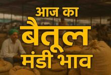 Betul Mandi Bhav Today: बैतूल मंडी में 7 फरवरी 2026 को हुई 15802 बोरे आवक; चना, सोयाबीन और मक्का के जानें भाव