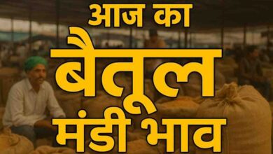 Betul Mandi Bhav Today: बैतूल मंडी में 7 फरवरी 2026 को हुई 15802 बोरे आवक; चना, सोयाबीन और मक्का के जानें भाव