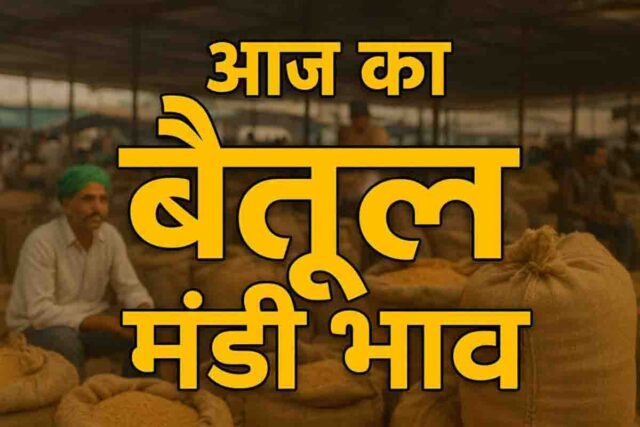 Betul Mandi Bhav Today: बैतूल मंडी में 7 फरवरी 2026 को हुई 15802 बोरे आवक; चना, सोयाबीन और मक्का के जानें भाव