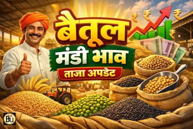 Betul Mandi Bhav 23 February: बैतूल मंडी भाव 23 फरवरी 2026: सोयाबीन 5250, तुअर 7376 के पार, जानें गेहूं-मक्का के ताजा रेट